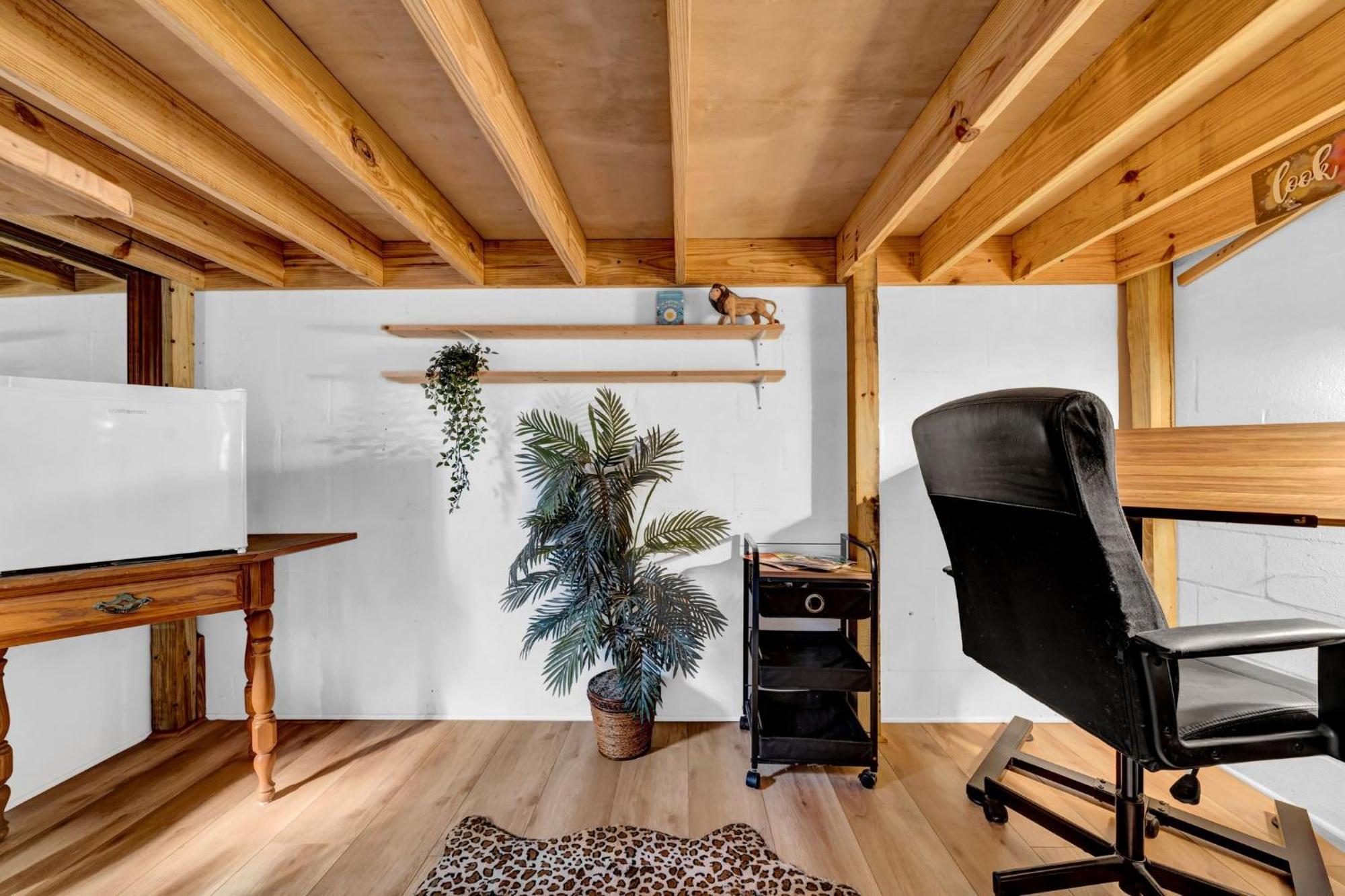 Zen Jungle House By Busch Gardens Sleeps 12 With Outdoor Games & Detached Play Space! Tampa Dış mekan fotoğraf